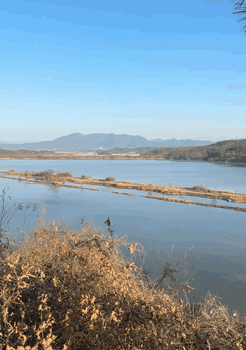 🌿[창녕 여행] 1억 4천만 년의 신비, 겨울 우포늪과 생태관 완벽 탐방기 | 생명길 8.4km 트레킹 후기