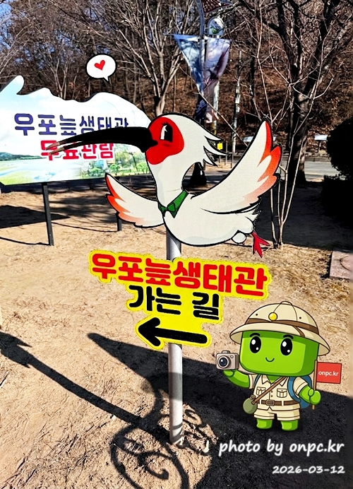 🌿[창녕 여행] 1억 4천만 년의 신비, 겨울 우포늪과 생태관 완벽 탐방기 | 생명길 8.4km 트레킹 후기