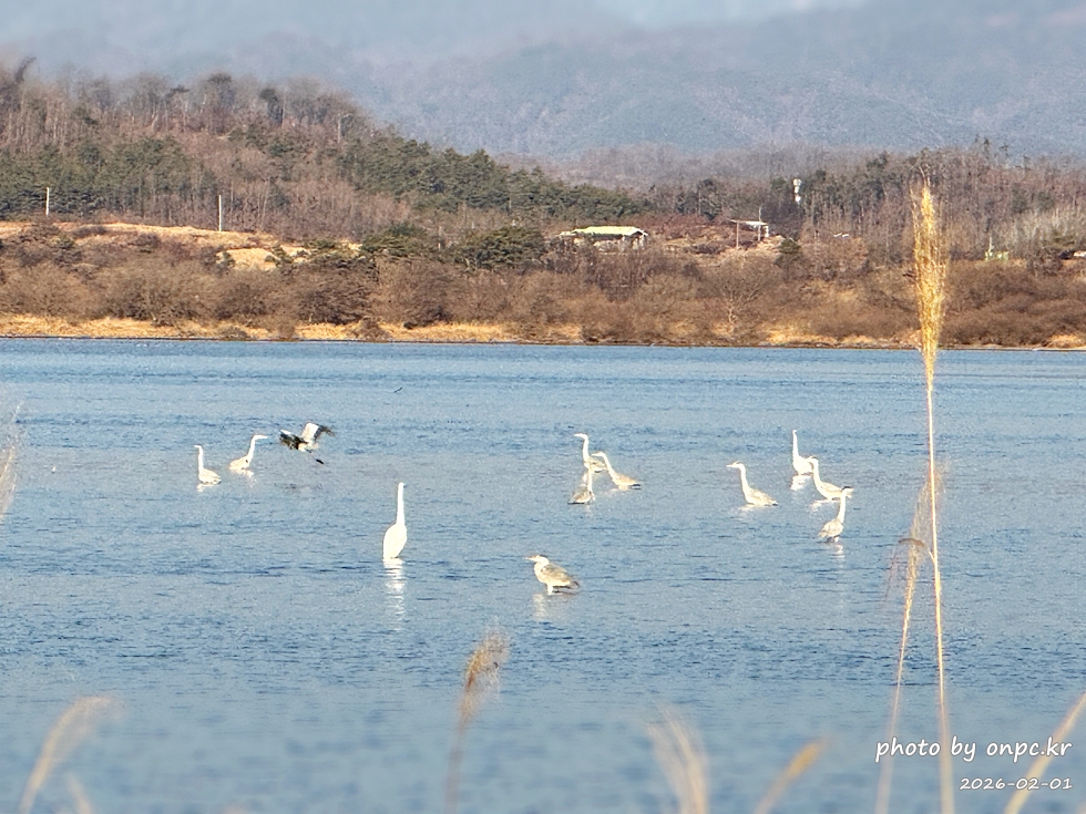🌿[창녕 여행] 1억 4천만 년의 신비, 겨울 우포늪과 생태관 완벽 탐방기 | 생명길 8.4km 트레킹 후기