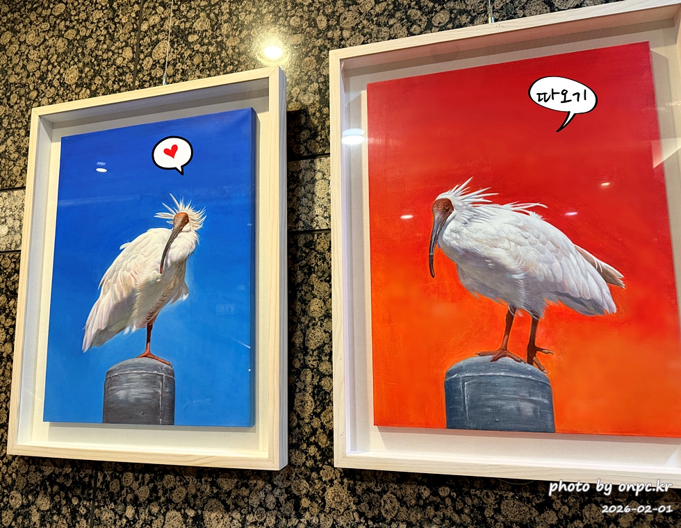 [창녕여행] 78℃ 천연 유황수의 힐링! 부곡온천 효능부터 3대째 수구레국밥까지 완벽 정리 ♨️🍲