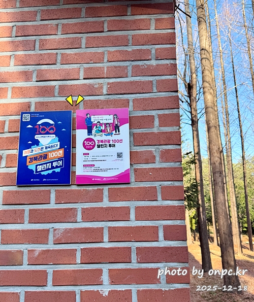 [영덕 가볼만한곳] 대한민국 100대 명품숲! 벌영리 메타세콰이어 숲길 산책 후기🌲❄️