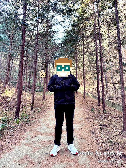 [영덕 가볼만한곳] 대한민국 100대 명품숲! 벌영리 메타세콰이어 숲길 산책 후기🌲❄️