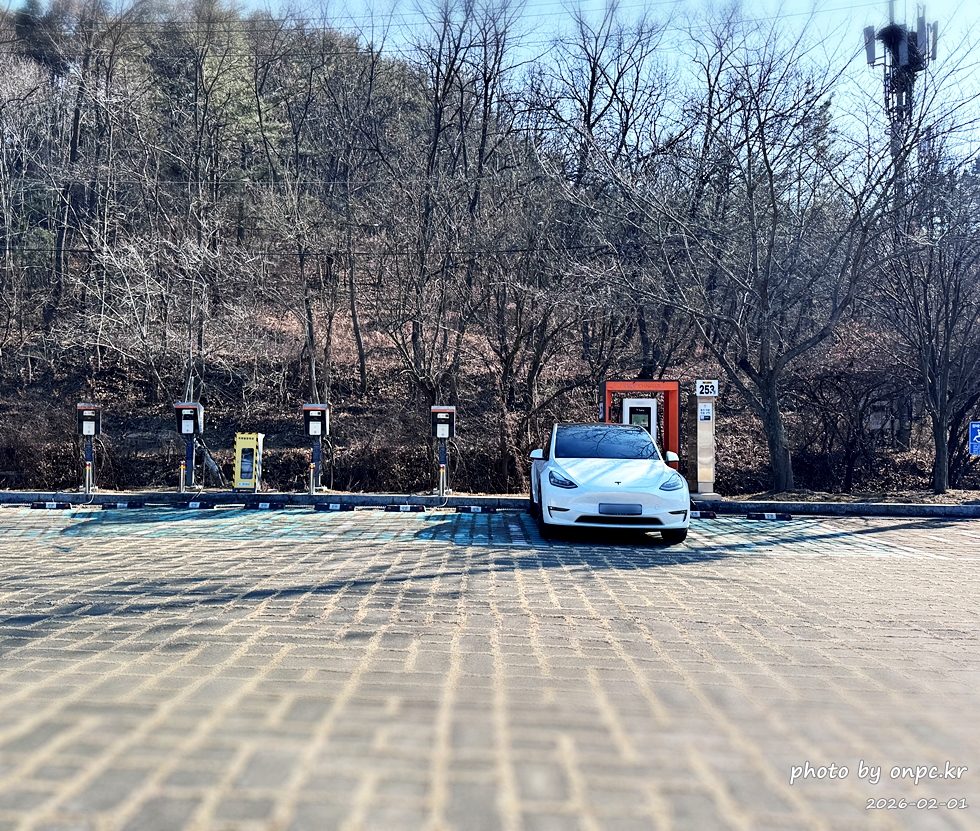 🌿[창녕 여행] 1억 4천만 년의 신비, 겨울 우포늪과 생태관 완벽 탐방기 | 생명길 8.4km 트레킹 후기