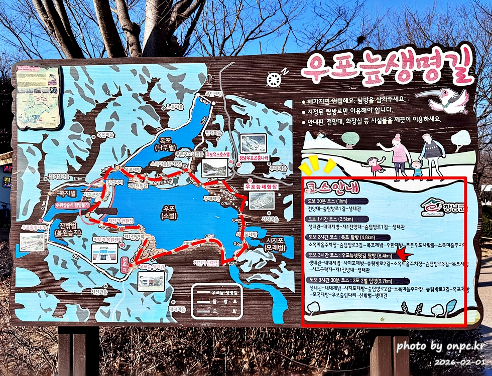 🌿[창녕 여행] 1억 4천만 년의 신비, 겨울 우포늪과 생태관 완벽 탐방기 | 생명길 8.4km 트레킹 후기