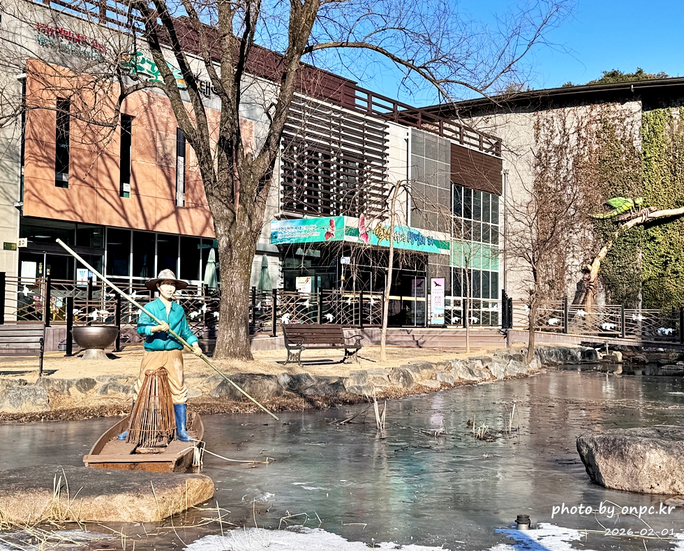 🌿[창녕 여행] 1억 4천만 년의 신비, 겨울 우포늪과 생태관 완벽 탐방기 | 생명길 8.4km 트레킹 후기