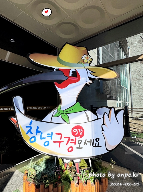 🌿[창녕 여행] 1억 4천만 년의 신비, 겨울 우포늪과 생태관 완벽 탐방기 | 생명길 8.4km 트레킹 후기