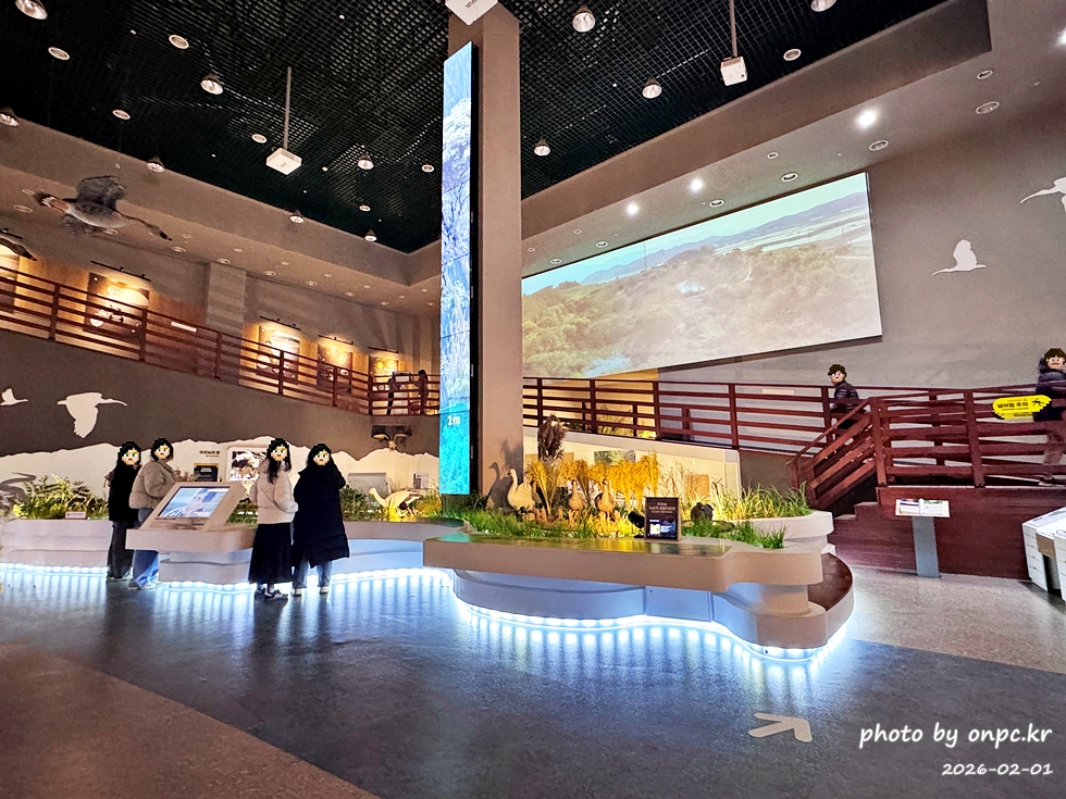 🌿[창녕 여행] 1억 4천만 년의 신비, 겨울 우포늪과 생태관 완벽 탐방기 | 생명길 8.4km 트레킹 후기