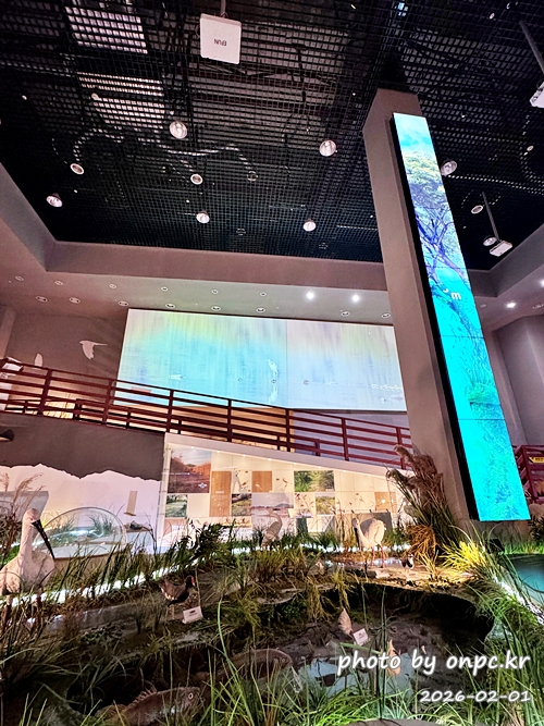 🌿[창녕 여행] 1억 4천만 년의 신비, 겨울 우포늪과 생태관 완벽 탐방기 | 생명길 8.4km 트레킹 후기