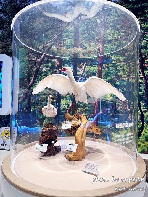 🌿[창녕 여행] 1억 4천만 년의 신비, 겨울 우포늪과 생태관 완벽 탐방기 | 생명길 8.4km 트레킹 후기