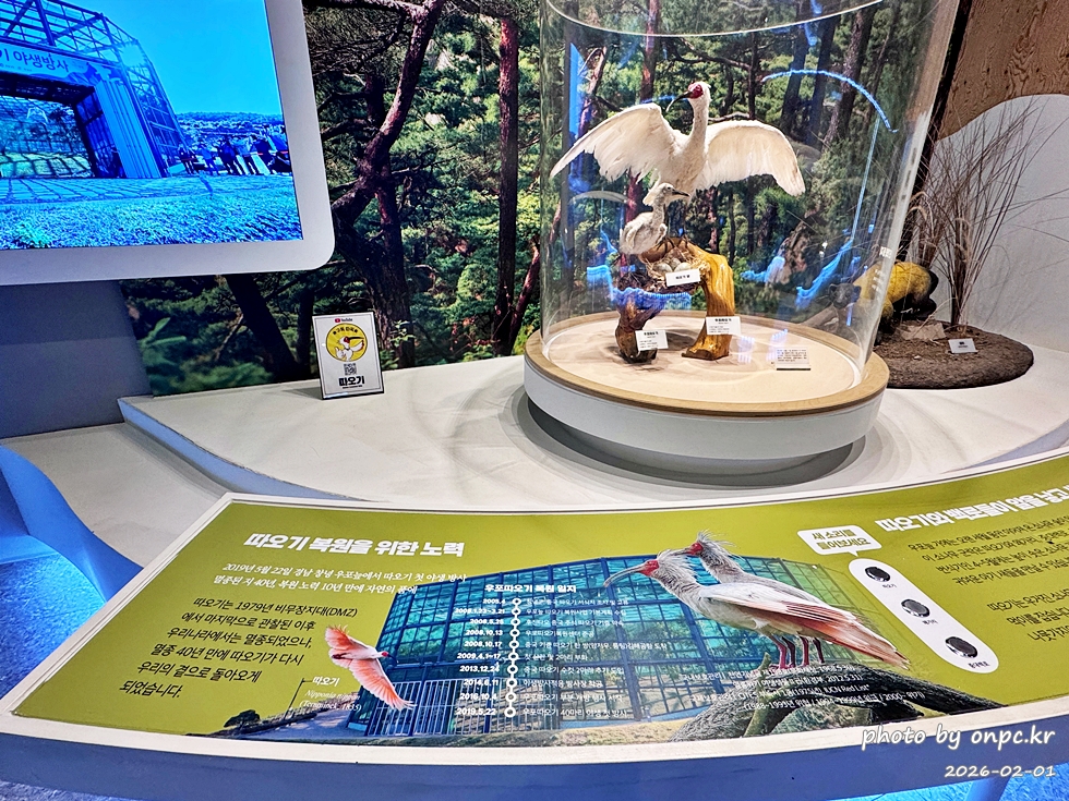 🌿[창녕 여행] 1억 4천만 년의 신비, 겨울 우포늪과 생태관 완벽 탐방기 | 생명길 8.4km 트레킹 후기