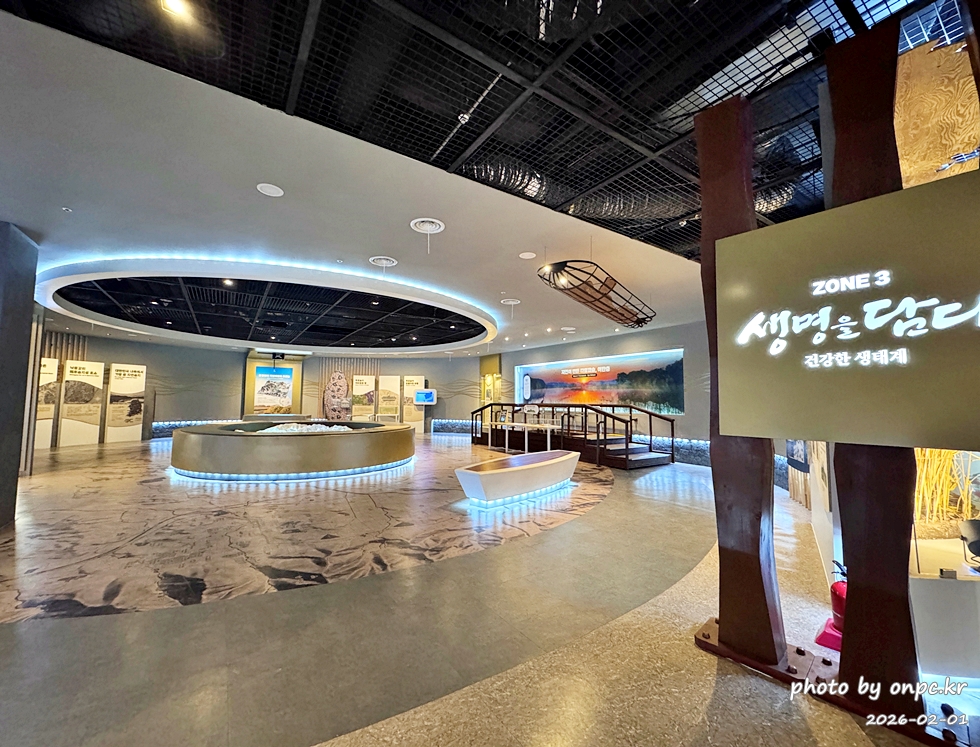 🌿[창녕 여행] 1억 4천만 년의 신비, 겨울 우포늪과 생태관 완벽 탐방기 | 생명길 8.4km 트레킹 후기