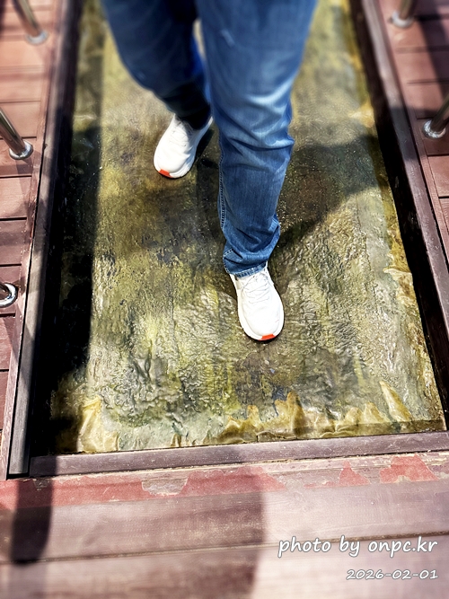 🌿[창녕 여행] 1억 4천만 년의 신비, 겨울 우포늪과 생태관 완벽 탐방기 | 생명길 8.4km 트레킹 후기