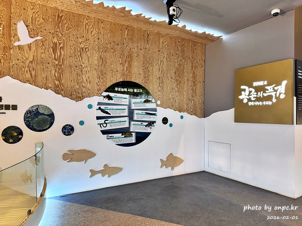 🌿[창녕 여행] 1억 4천만 년의 신비, 겨울 우포늪과 생태관 완벽 탐방기 | 생명길 8.4km 트레킹 후기