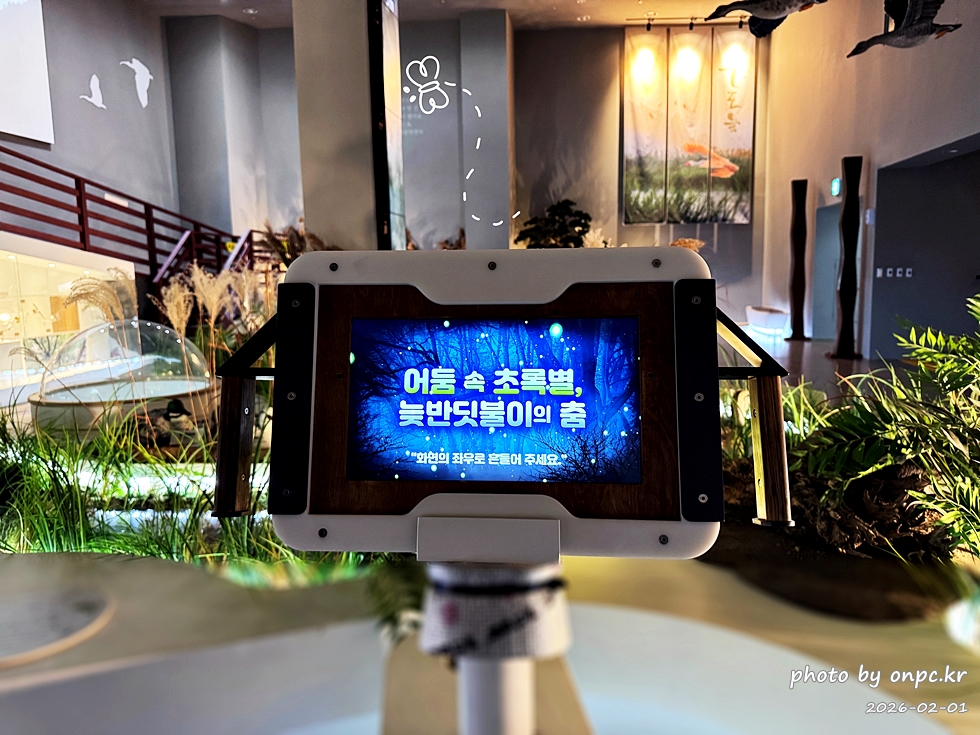 🌿[창녕 여행] 1억 4천만 년의 신비, 겨울 우포늪과 생태관 완벽 탐방기 | 생명길 8.4km 트레킹 후기