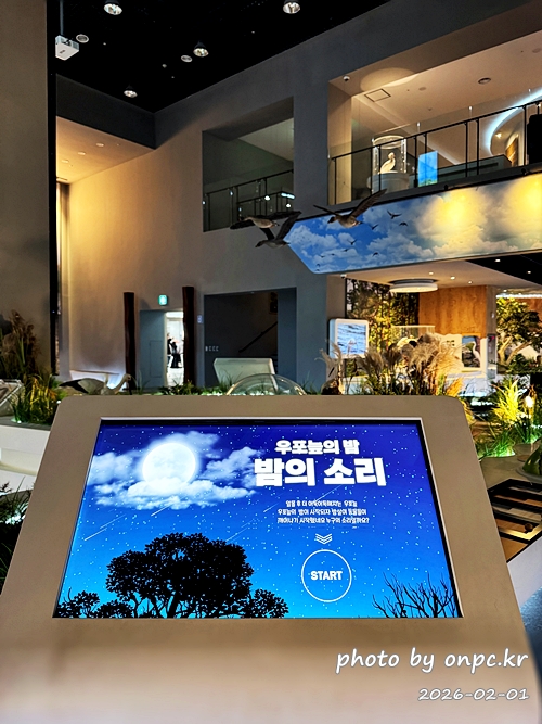 🌿[창녕 여행] 1억 4천만 년의 신비, 겨울 우포늪과 생태관 완벽 탐방기 | 생명길 8.4km 트레킹 후기