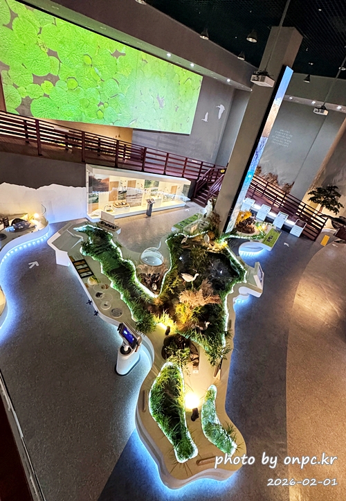 🌿[창녕 여행] 1억 4천만 년의 신비, 겨울 우포늪과 생태관 완벽 탐방기 | 생명길 8.4km 트레킹 후기