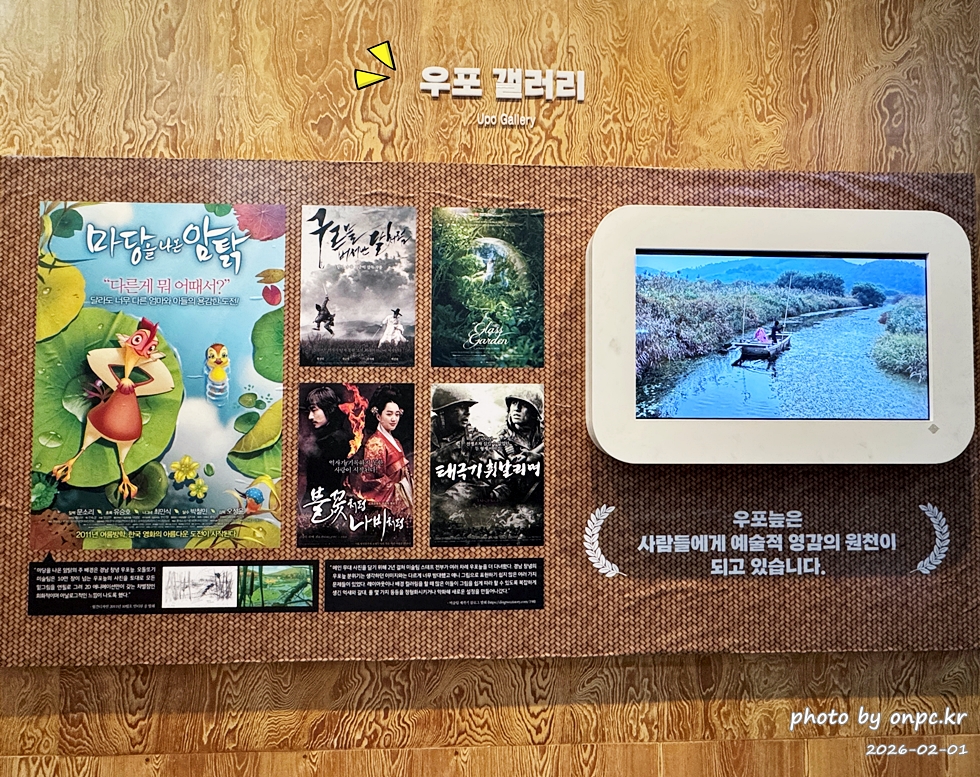 🌿[창녕 여행] 1억 4천만 년의 신비, 겨울 우포늪과 생태관 완벽 탐방기 | 생명길 8.4km 트레킹 후기