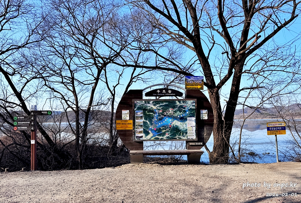 🌿[창녕 여행] 1억 4천만 년의 신비, 겨울 우포늪과 생태관 완벽 탐방기 | 생명길 8.4km 트레킹 후기