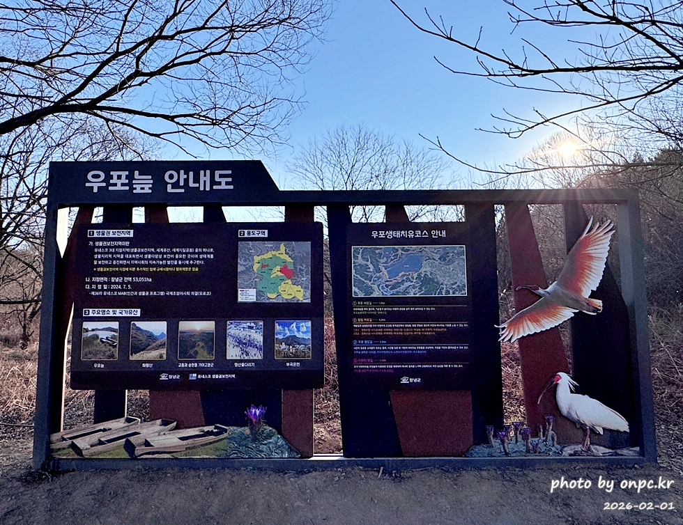 🌿[창녕 여행] 1억 4천만 년의 신비, 겨울 우포늪과 생태관 완벽 탐방기 | 생명길 8.4km 트레킹 후기