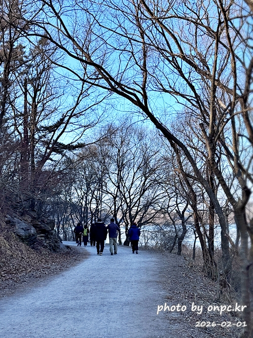 🌿[창녕 여행] 1억 4천만 년의 신비, 겨울 우포늪과 생태관 완벽 탐방기 | 생명길 8.4km 트레킹 후기