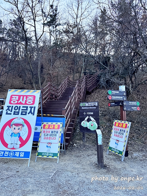 🌿[창녕 여행] 1억 4천만 년의 신비, 겨울 우포늪과 생태관 완벽 탐방기 | 생명길 8.4km 트레킹 후기