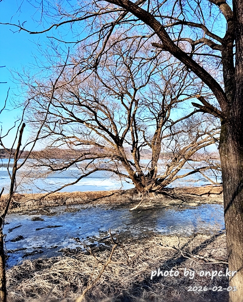 🌿[창녕 여행] 1억 4천만 년의 신비, 겨울 우포늪과 생태관 완벽 탐방기 | 생명길 8.4km 트레킹 후기