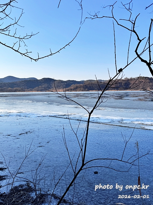 🌿[창녕 여행] 1억 4천만 년의 신비, 겨울 우포늪과 생태관 완벽 탐방기 | 생명길 8.4km 트레킹 후기