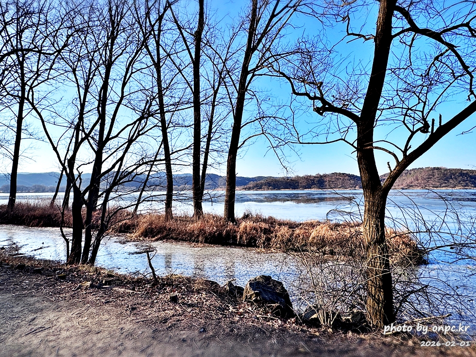 🌿[창녕 여행] 1억 4천만 년의 신비, 겨울 우포늪과 생태관 완벽 탐방기 | 생명길 8.4km 트레킹 후기
