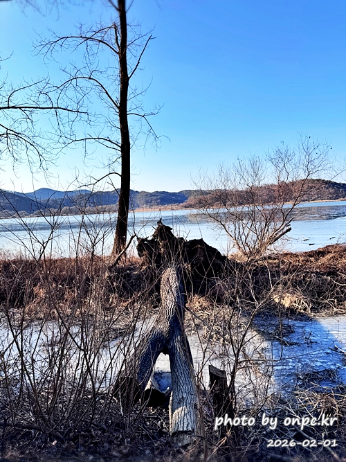 🌿[창녕 여행] 1억 4천만 년의 신비, 겨울 우포늪과 생태관 완벽 탐방기 | 생명길 8.4km 트레킹 후기
