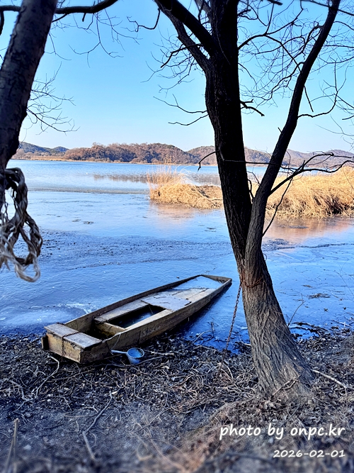 🌿[창녕 여행] 1억 4천만 년의 신비, 겨울 우포늪과 생태관 완벽 탐방기 | 생명길 8.4km 트레킹 후기