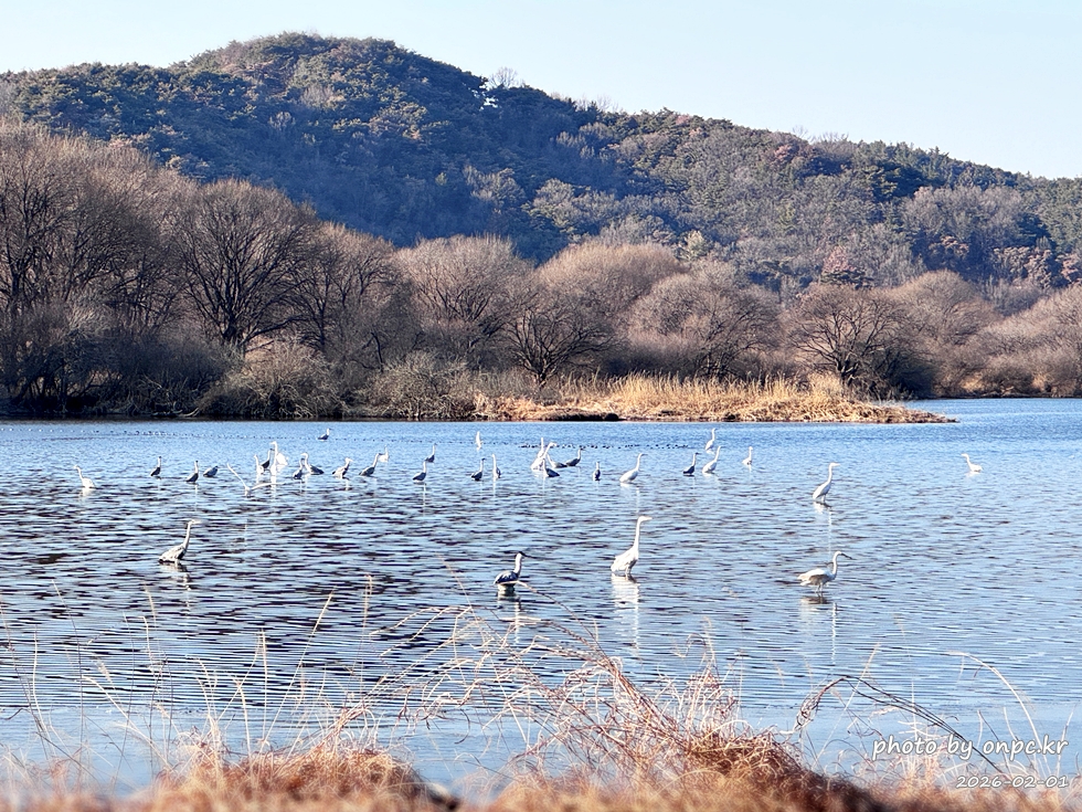 🌿[창녕 여행] 1억 4천만 년의 신비, 겨울 우포늪과 생태관 완벽 탐방기 | 생명길 8.4km 트레킹 후기