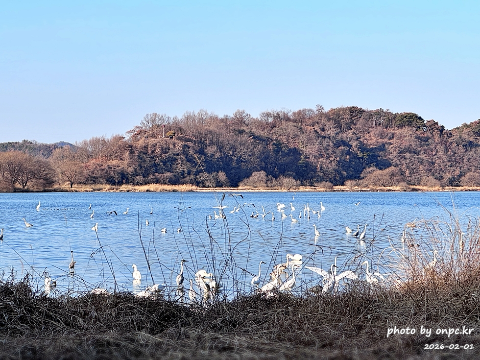 🌿[창녕 여행] 1억 4천만 년의 신비, 겨울 우포늪과 생태관 완벽 탐방기 | 생명길 8.4km 트레킹 후기