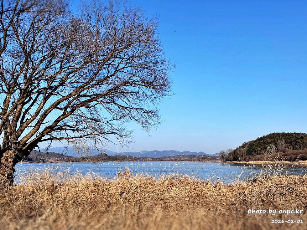 🌿[창녕 여행] 1억 4천만 년의 신비, 겨울 우포늪과 생태관 완벽 탐방기 | 생명길 8.4km 트레킹 후기