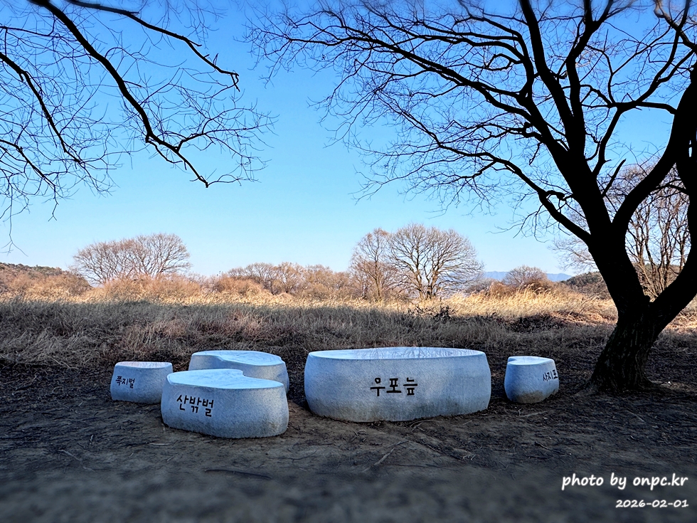 🌿[창녕 여행] 1억 4천만 년의 신비, 겨울 우포늪과 생태관 완벽 탐방기 | 생명길 8.4km 트레킹 후기