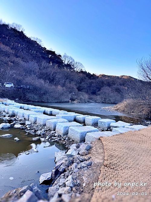 🌿[창녕 여행] 1억 4천만 년의 신비, 겨울 우포늪과 생태관 완벽 탐방기 | 생명길 8.4km 트레킹 후기