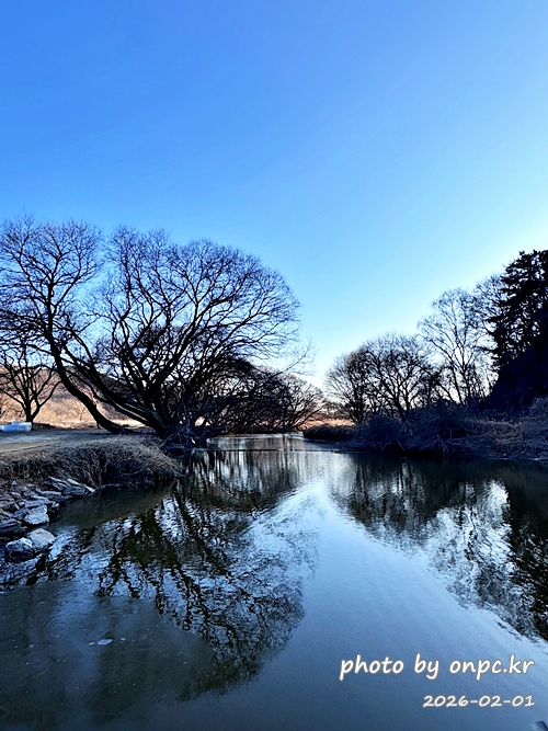 🌿[창녕 여행] 1억 4천만 년의 신비, 겨울 우포늪과 생태관 완벽 탐방기 | 생명길 8.4km 트레킹 후기