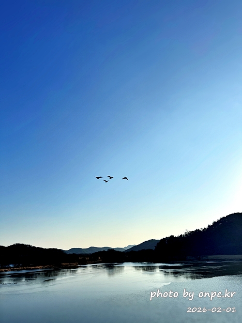 🌿[창녕 여행] 1억 4천만 년의 신비, 겨울 우포늪과 생태관 완벽 탐방기 | 생명길 8.4km 트레킹 후기