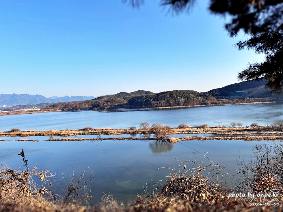 🌿[창녕 여행] 1억 4천만 년의 신비, 겨울 우포늪과 생태관 완벽 탐방기 | 생명길 8.4km 트레킹 후기
