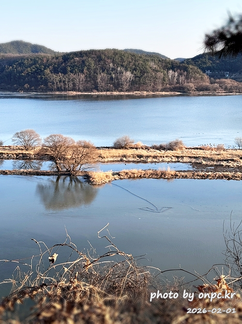 🌿[창녕 여행] 1억 4천만 년의 신비, 겨울 우포늪과 생태관 완벽 탐방기 | 생명길 8.4km 트레킹 후기