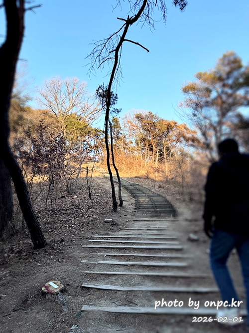 🌿[창녕 여행] 1억 4천만 년의 신비, 겨울 우포늪과 생태관 완벽 탐방기 | 생명길 8.4km 트레킹 후기