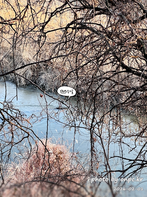 🌿[창녕 여행] 1억 4천만 년의 신비, 겨울 우포늪과 생태관 완벽 탐방기 | 생명길 8.4km 트레킹 후기