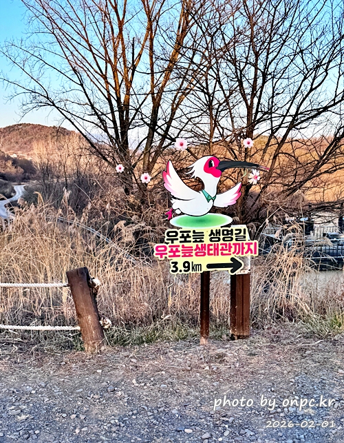 🌿[창녕 여행] 1억 4천만 년의 신비, 겨울 우포늪과 생태관 완벽 탐방기 | 생명길 8.4km 트레킹 후기