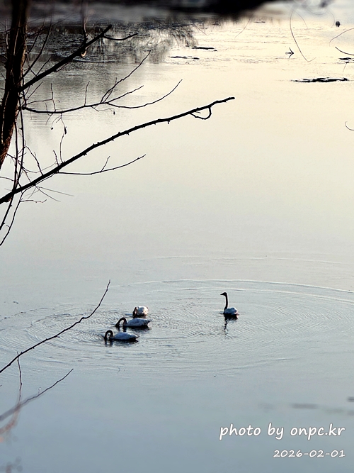 🌿[창녕 여행] 1억 4천만 년의 신비, 겨울 우포늪과 생태관 완벽 탐방기 | 생명길 8.4km 트레킹 후기