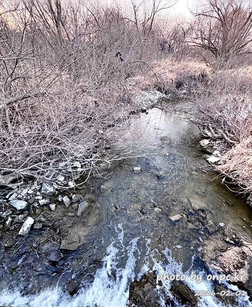 🌿[창녕 여행] 1억 4천만 년의 신비, 겨울 우포늪과 생태관 완벽 탐방기 | 생명길 8.4km 트레킹 후기