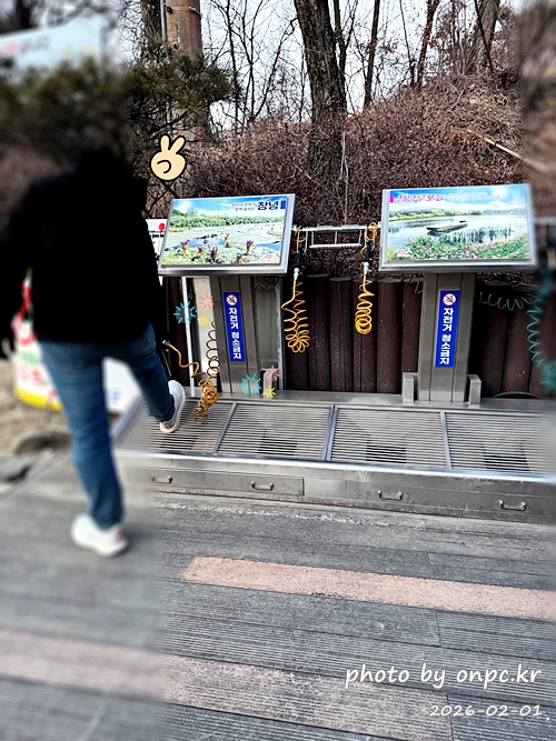 🌿[창녕 여행] 1억 4천만 년의 신비, 겨울 우포늪과 생태관 완벽 탐방기 | 생명길 8.4km 트레킹 후기
