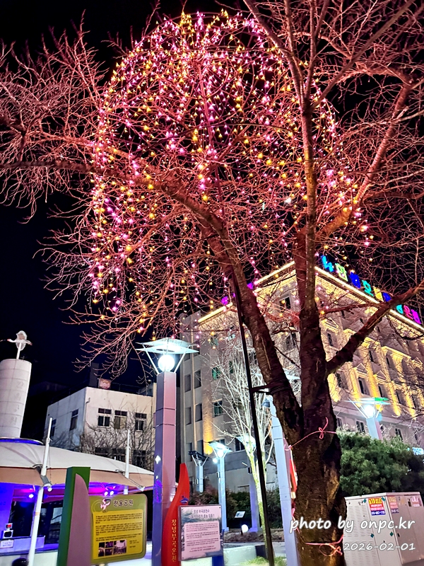 [창녕여행] 78℃ 천연 유황수의 힐링! 부곡온천 효능부터 3대째 수구레국밥까지 완벽 정리 ♨️🍲