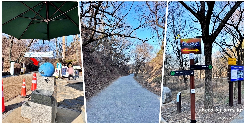 🌿[창녕 여행] 1억 4천만 년의 신비, 겨울 우포늪과 생태관 완벽 탐방기 | 생명길 8.4km 트레킹 후기