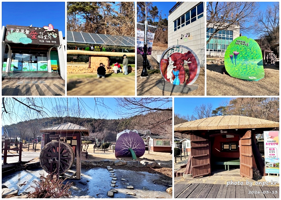🌿[창녕 여행] 1억 4천만 년의 신비, 겨울 우포늪과 생태관 완벽 탐방기 | 생명길 8.4km 트레킹 후기