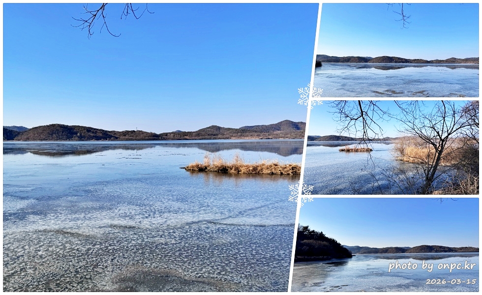 🌿[창녕 여행] 1억 4천만 년의 신비, 겨울 우포늪과 생태관 완벽 탐방기 | 생명길 8.4km 트레킹 후기
