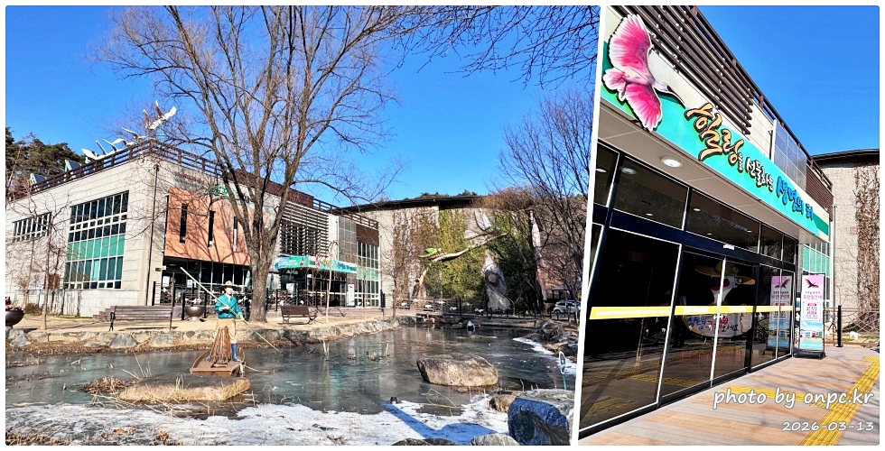 🌿[창녕 여행] 1억 4천만 년의 신비, 겨울 우포늪과 생태관 완벽 탐방기 | 생명길 8.4km 트레킹 후기